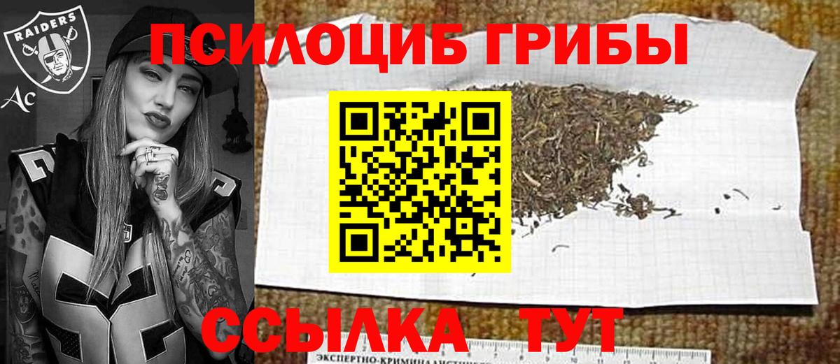Галлюциногенные грибы Cubensis Екатеринбург